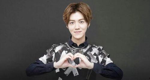 思聪爆料鹿晗视频大全最新,思聪爆料引发网友热议，精彩瞬间大盘点  第2张